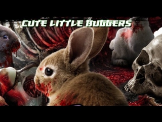 cute little buggers (2017)