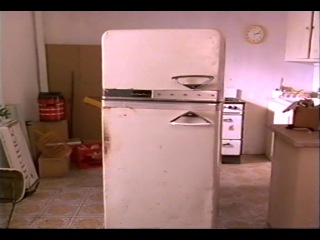 refrigerator / the refrigerator (1991)
