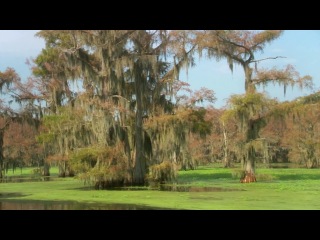 boggy creek (2010) [eng]