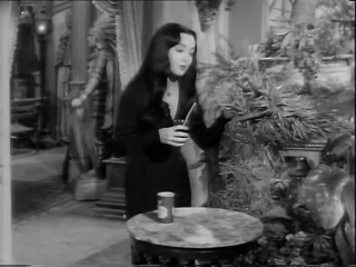 the addams family season 2 episode 29