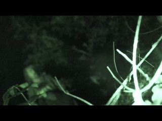 bigfoot county (2012) bigfoot county